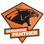 HSG Bergische Panther